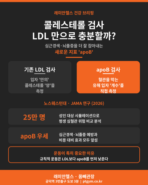 마포 용강 PT 헬스 피티 |콜레스테롤 검사, LDL 수치만으로 충분할까요? apoB 검사가 심근경색·뇌졸중을 더 잘 잡아내는 이유 - 1 - 20260711000325