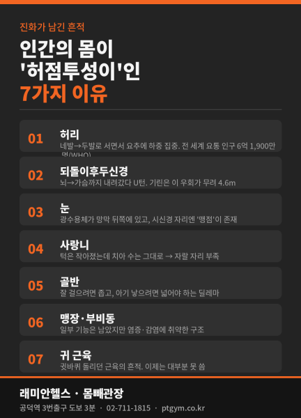 대흥 헬스 PT | 허리는 아프고 사랑니는 삐뚤게 나고 — 인간의 몸이 허점투성이인 진짜 이유 - 1 - 20260714235747
