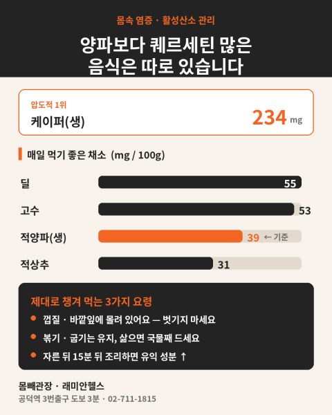 대흥동 PT 헬스 | 양파보다 퀘르세틴 많은 음식은 따로 있습니다 - 1 - 20260731001849