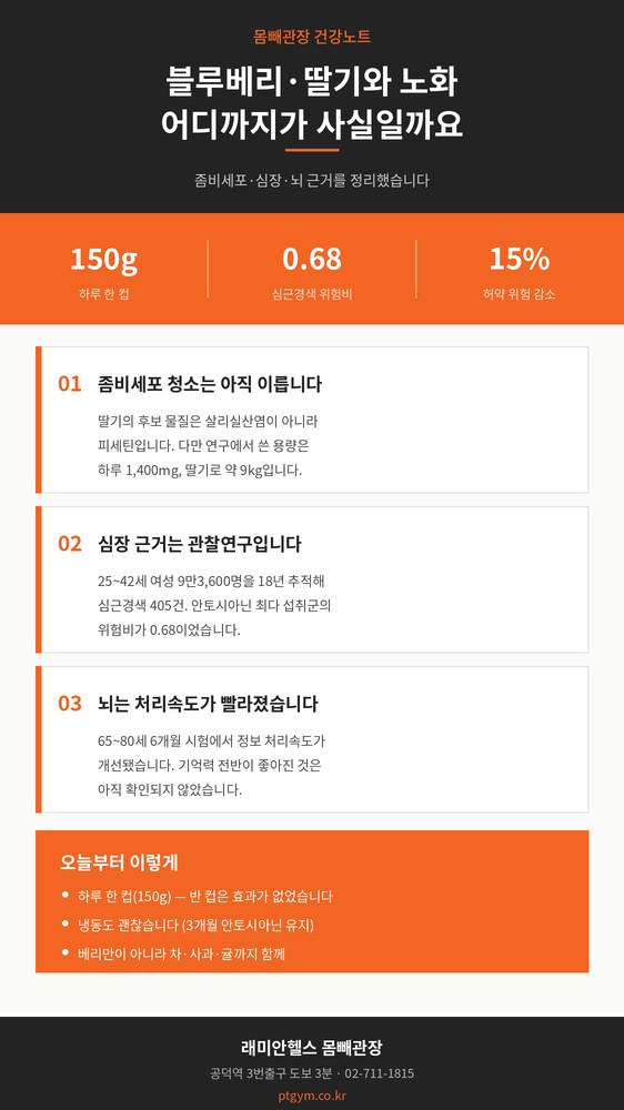 공덕동 PT 헬스 | 블루베리와 딸기가 노화를 늦춘다는 이야기, 어디까지가 사실일까요 - 1 - 20260909001624
