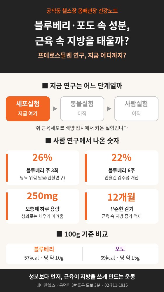 대흥동 PT 헬스 | 블루베리·포도 성분이 근육 속 지방을 태운다는 연구, 지금 어디까지 믿어도 될까요 - 2 - 20261008002352