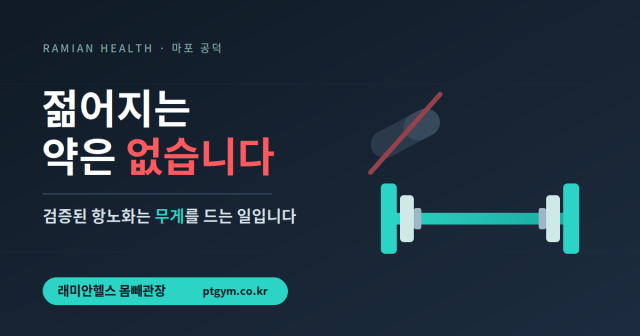 공덕 PT 피티 헬스 젊어지려고 먹은 약이 오히려 뇌를 망가뜨린다? 유행하는 항노화 약물의 함정 - 1 - 20260603000527