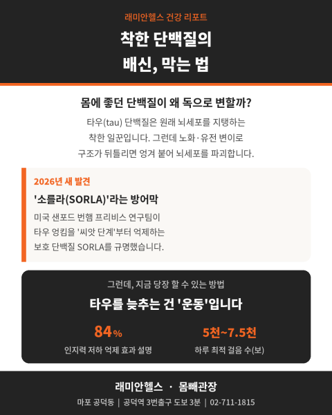 도화동 PT 헬스 | 치매를 부르는 나쁜 단백질, 운동으로 늦출 수 있습니다 - 1 - 20260721001840
