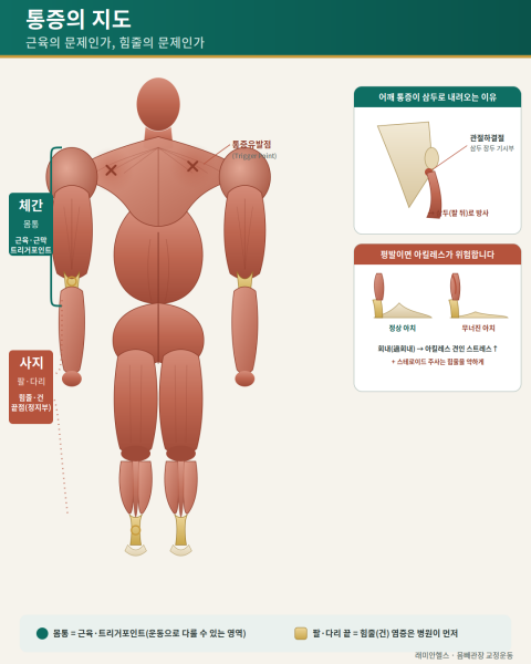 대흥 PT 헬스 | 운동으로 낫는 통증, 병원 가야 하는 통증 — 교정운동 전문가의 통증 구분법 - 1 - 20260730002254