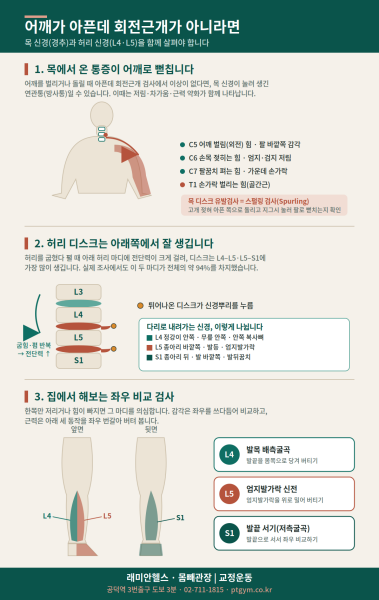 아현 교정운동 PT | 어깨가 아픈데 회전근개가 아니라면? 목 신경과 L4·L5 검사법 - 1 - 20260811002057
