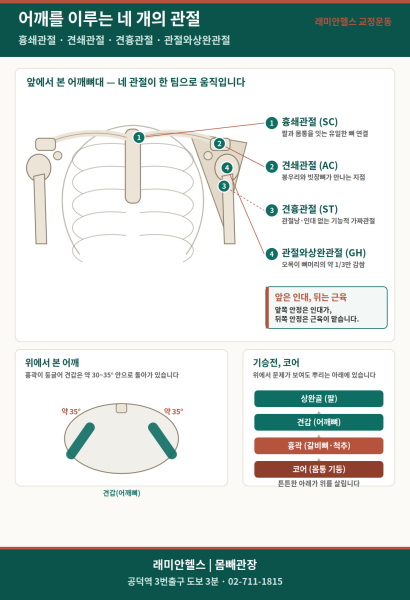 마포 교정운동 PT | - 1 - 20260819000422