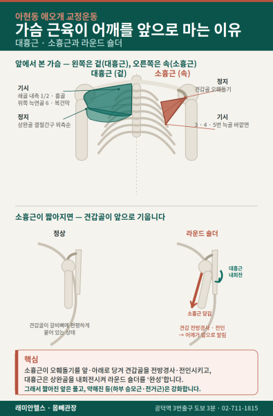 아현 교정운동 PT | 가슴 근육이 어깨를 앞으로 마는 이유 — 대흉근·소흉근과 라운드 숄더 - 1 - 20260820001138