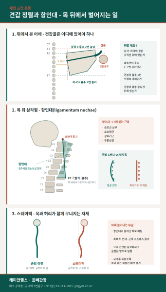 공덕 교정운동 PT | - 1 - 20260821000843