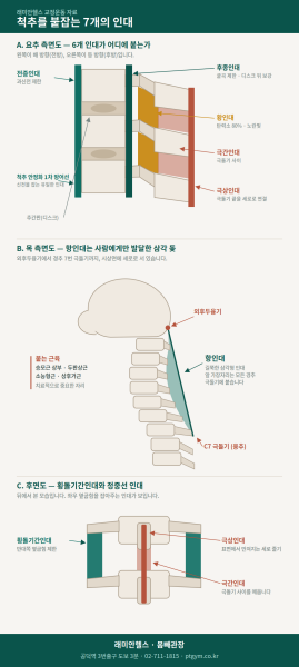 대흥 교정운동 PT | 척추를 붙잡는 7개의 인대 - 항인대, 극상인대, 극간인대, 전종인대, 후종인대, 횡돌기간인대, 황인대 - 1 - 20260823132953