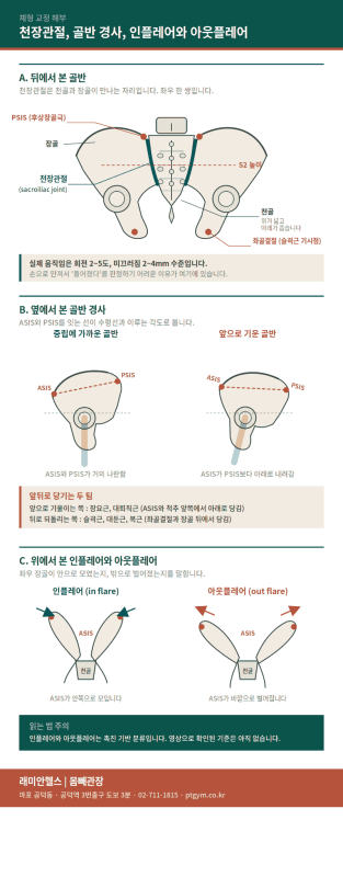 염리 교정운동 PT | 천장관절, 인플레어와 아웃플레어, 골반 좌우 높이와 전방경사 - 1 - 20260825000422