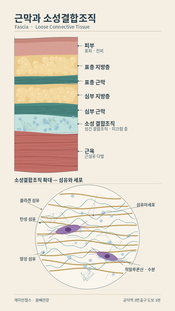 공덕 교정운동 PT | - 1 - 20260905001921