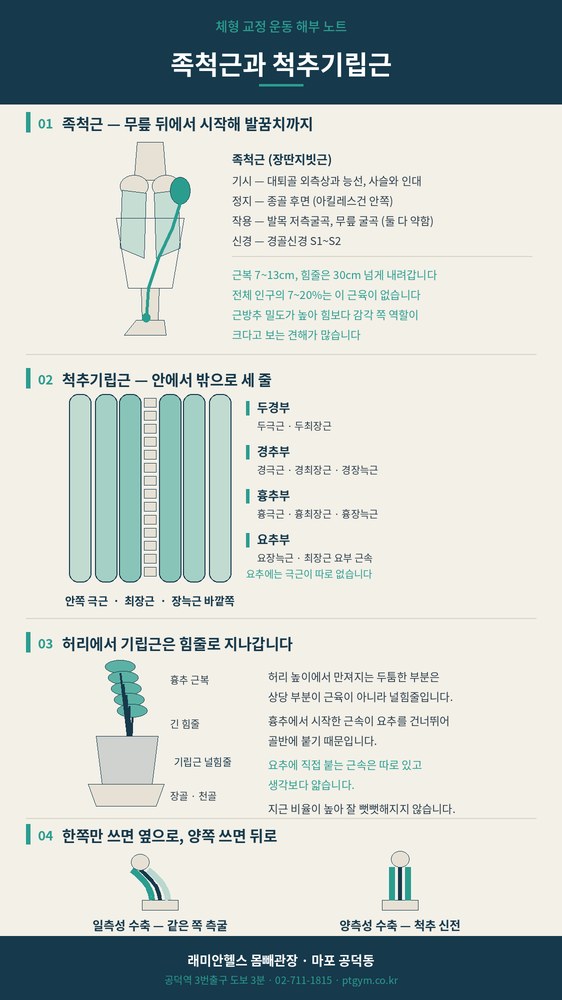 아현 교정운동 PT | 족척근과 척추기립근 - 무릎 뒤 작은 근육부터 허리를 세우는 세 줄까지 - 1 - 20260909002602
