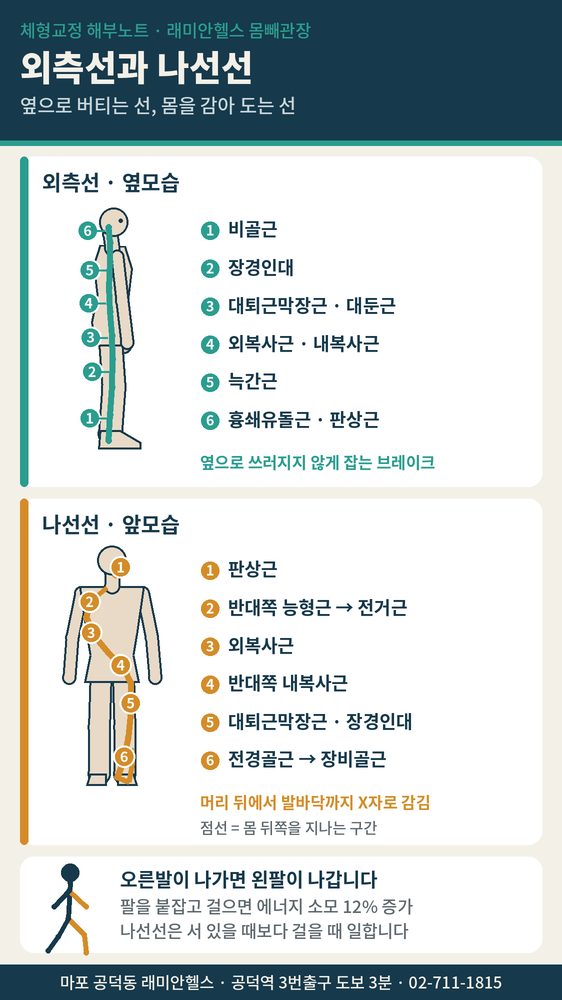 염리 교정운동 PT | 스테레오타입, 외측선, 나선선 - 옆으로 버티는 선과 몸을 감는 선 - 1 - 20260912001215