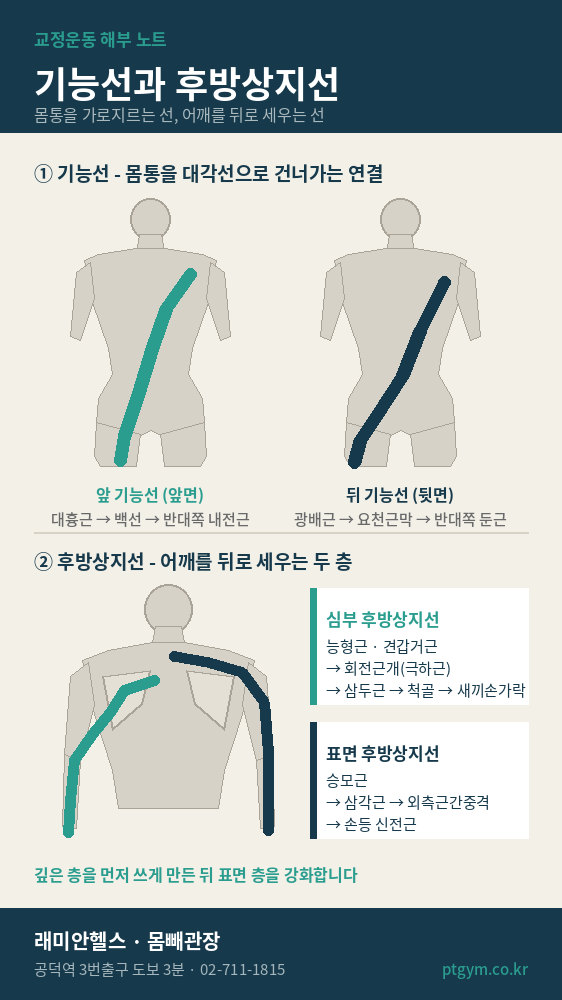 도화 교정운동 PT | 기능선과 후방상지선, 어깨를 뒤로 세우는 순서 - 1 - 20260915001604