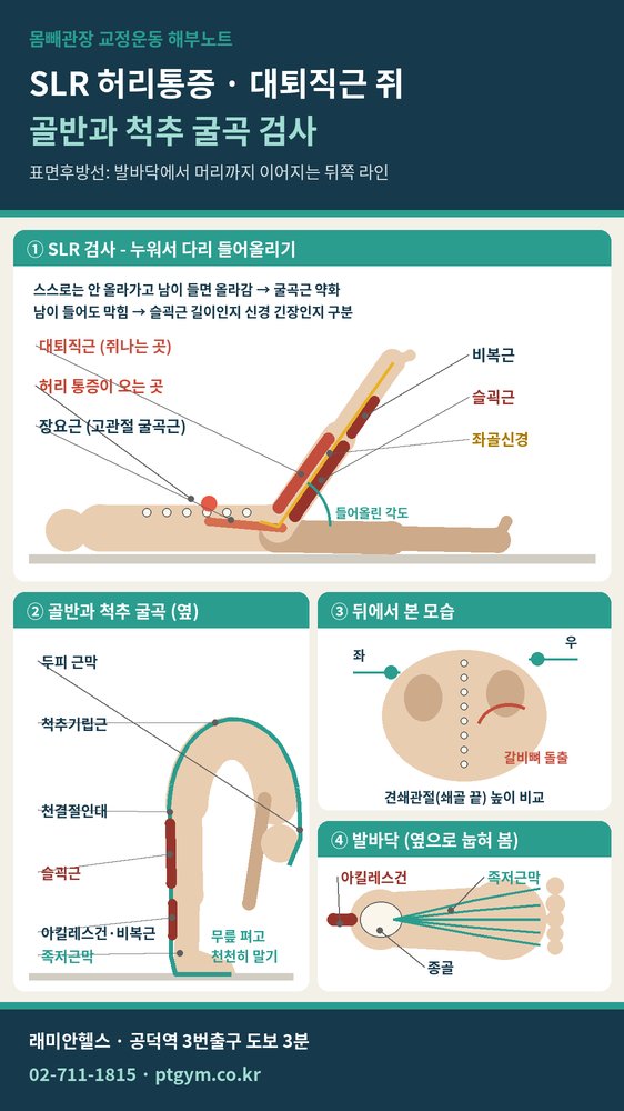 아현 교정운동 PT| SLR할 때 허리가 아프고 허벅지 앞에 쥐가 난다면 - 골반과 척추 굴곡 검사까지 - 1 - 20260918002652