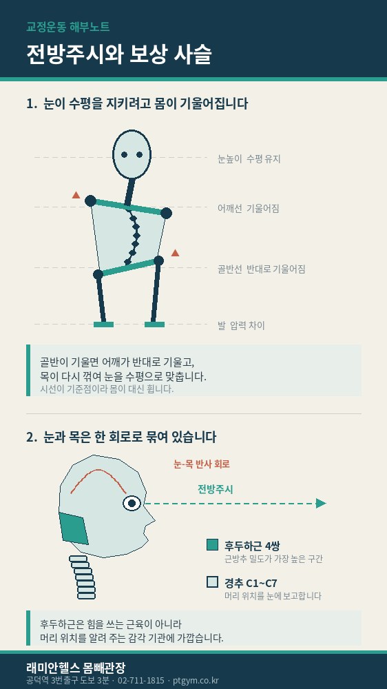 공덕 교정운동 PT | 전방주시가 불균형을 만듭니다 - 몸이 기울어도 눈은 수평을 지킵니다 - 1 - 20260919003847