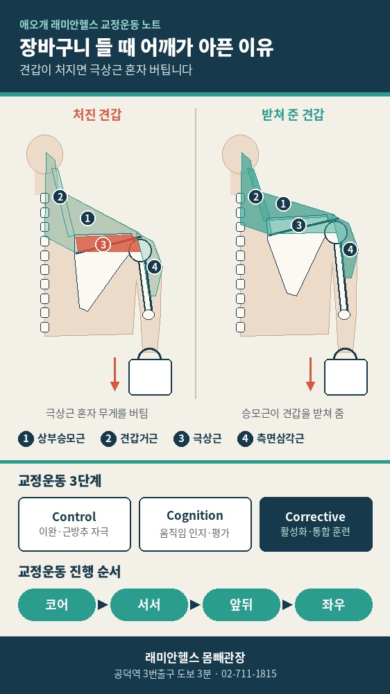 염리 교정운동 PT | 교정운동 시스템 3단계, 장바구니 들면 어깨가 아픈 이유까지 - 1 - 20261003002837