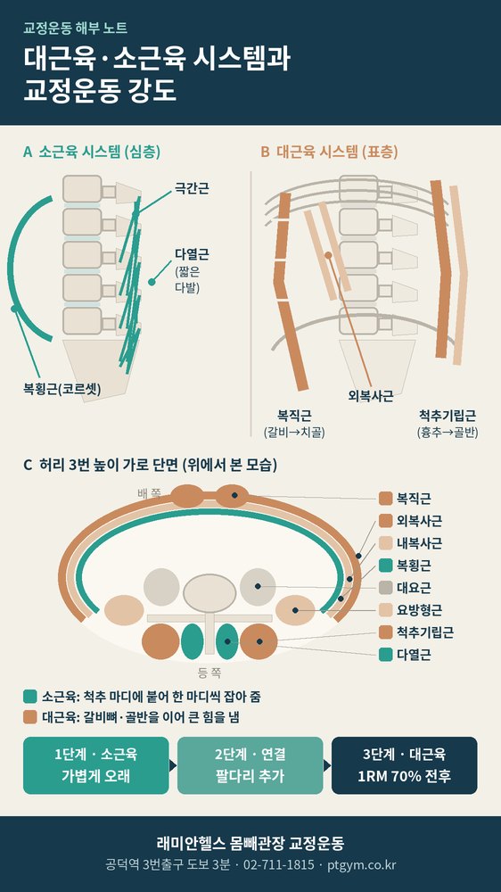 도화 교정운동 PT | 대근육·소근육 시스템과 교정운동 강도, 왜 마지막엔 70% 무게에서 자세를 확인할까요 - 2 - 20261007004430