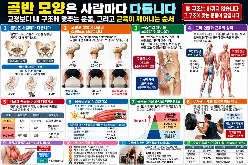 아현동 교정운동 PT | 골반 모양은 사람마다 다릅니다 - 교정보다 내 구조에 맞추는 운동, 그리고 근육이 깨어나는 순서 - 1 - 20261021002320