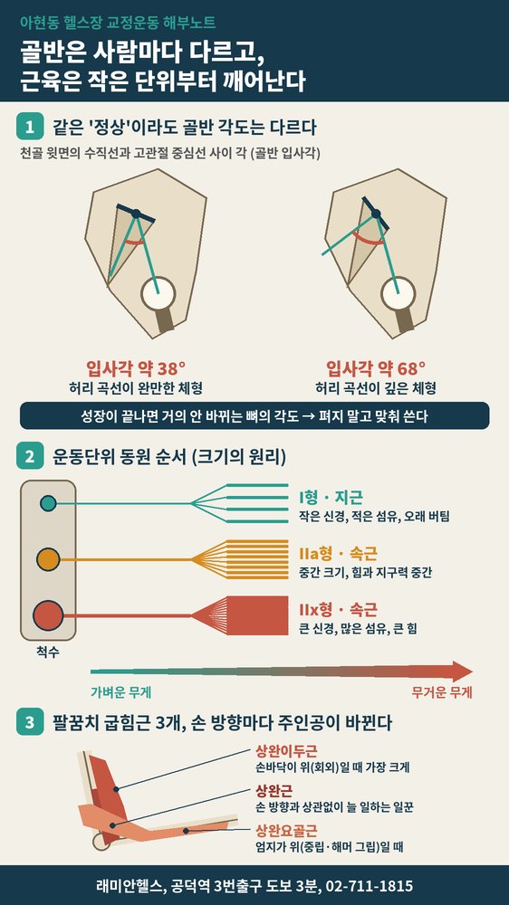 아현동 교정운동 PT | 골반 모양은 사람마다 다릅니다 - 교정보다 내 구조에 맞추는 운동, 그리고 근육이 깨어나는 순서 - 1 - 20261021002222