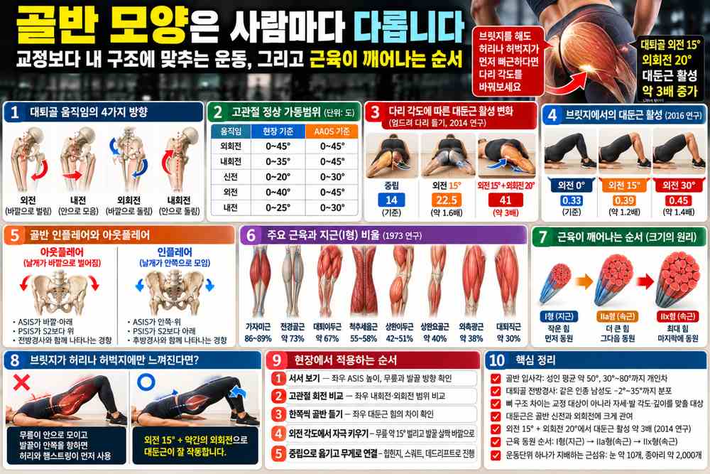 공덕동 교정운동 PT | 엉덩이에 힘이 안 들어가는 이유, 대퇴골 각도와 골반 인플레어·아웃플레어 - 염리동 피티 - 1 - 20261022003913