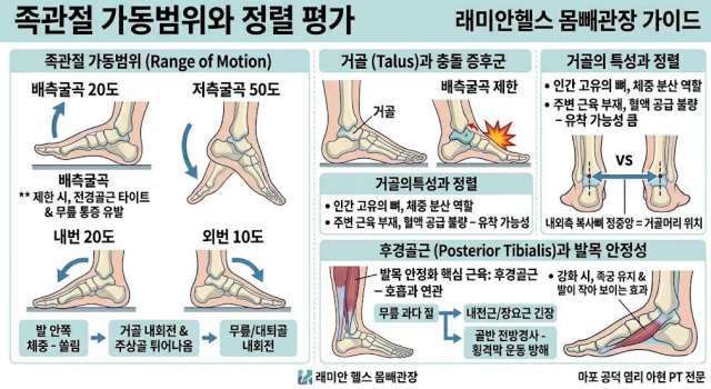 공덕 피티 pt /교정운동 발목 유연성이 무릎·골반 통증을 만든다? 족관절 가동범위와 거골 정렬의 모든 것! - 1 - 20260525192729