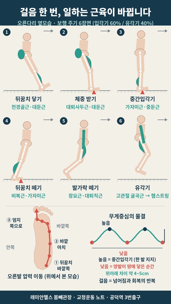 대흥 교정운동 PT | 보행분석, 가만히 선 자세보다 5분 걸은 뒤의 걸음을 봐야 하는 이유 - 1 - 20260922002457